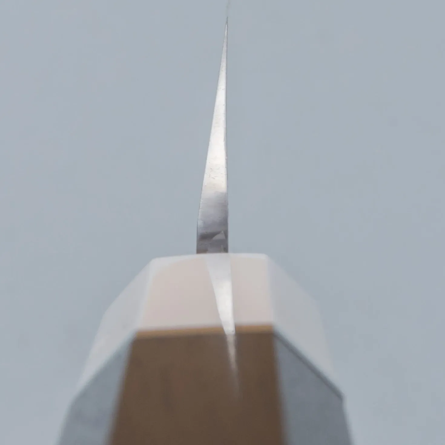 Sakai Takayuki Ginryu Kengata Yanagiba 30 cm