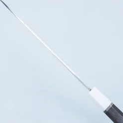 Sakai Takayuki Ginryu Yanagiba 27 cm