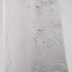 Sakai Takayuki Ginsan SUI Gyuto 21 cm