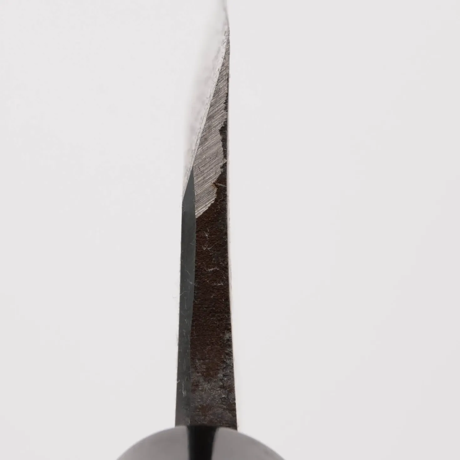 Sakai Takayuki Inox Deba 16.5 cm