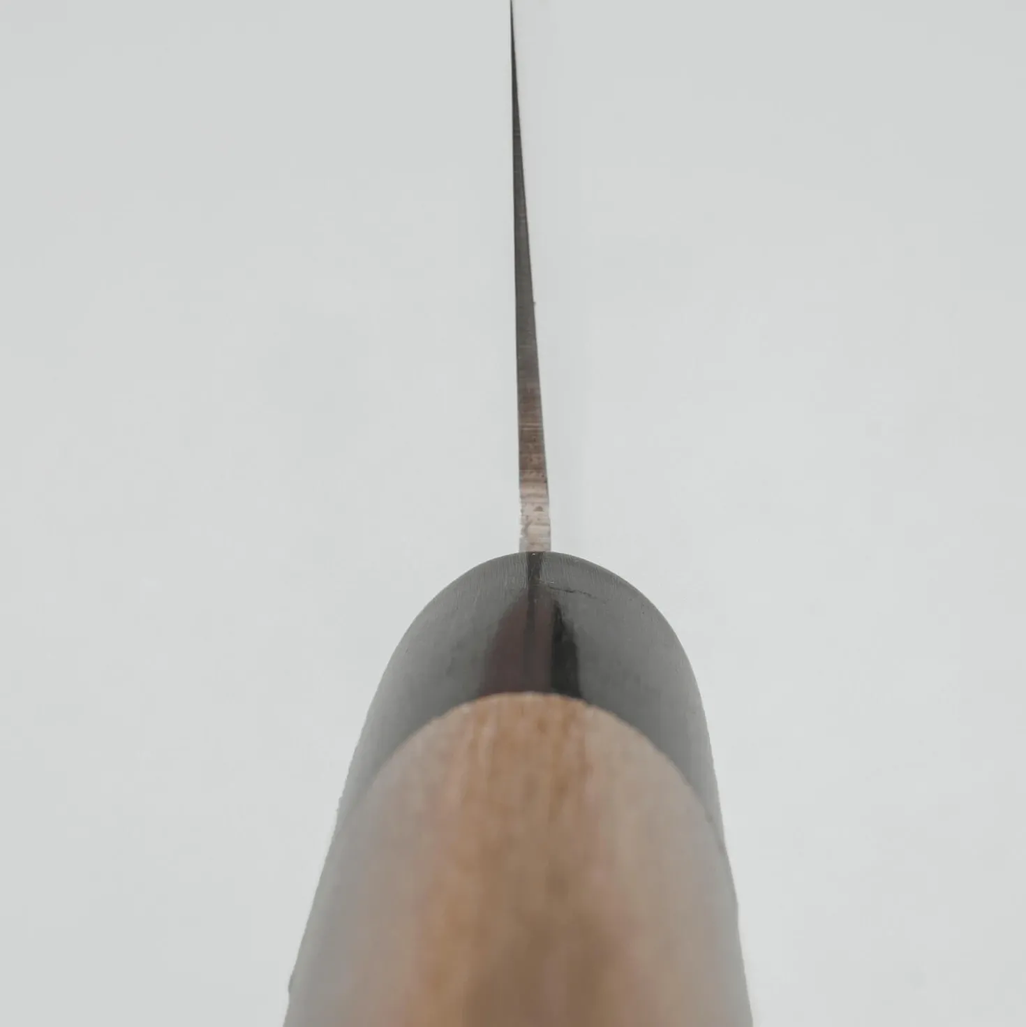 Sakai Takayuki Inox Molybdenum Gyuto 24 cm