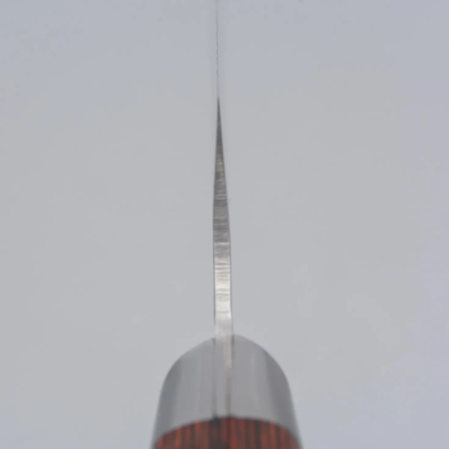 Sakai Takayuki 33 Layer Damascus Koksmes 18 cm