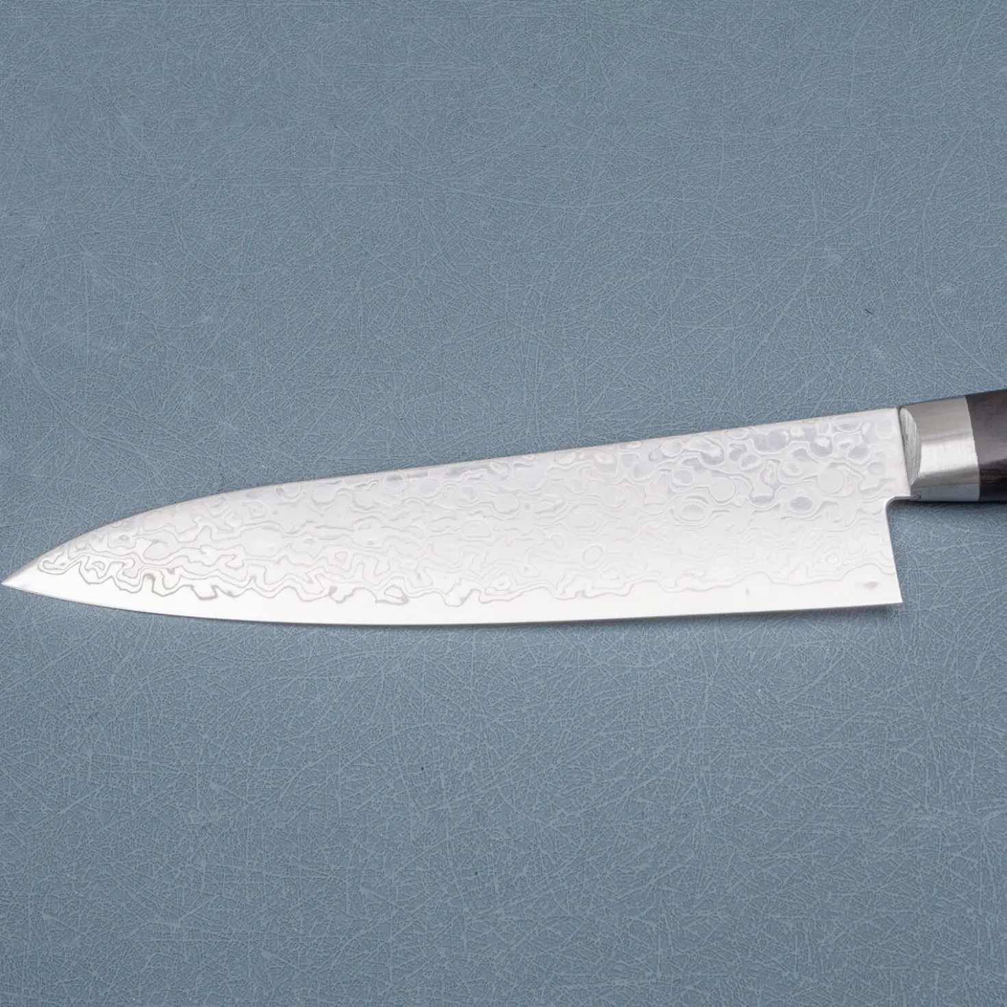 Sakai Takayuki Mirrored Gyuto 18 cm