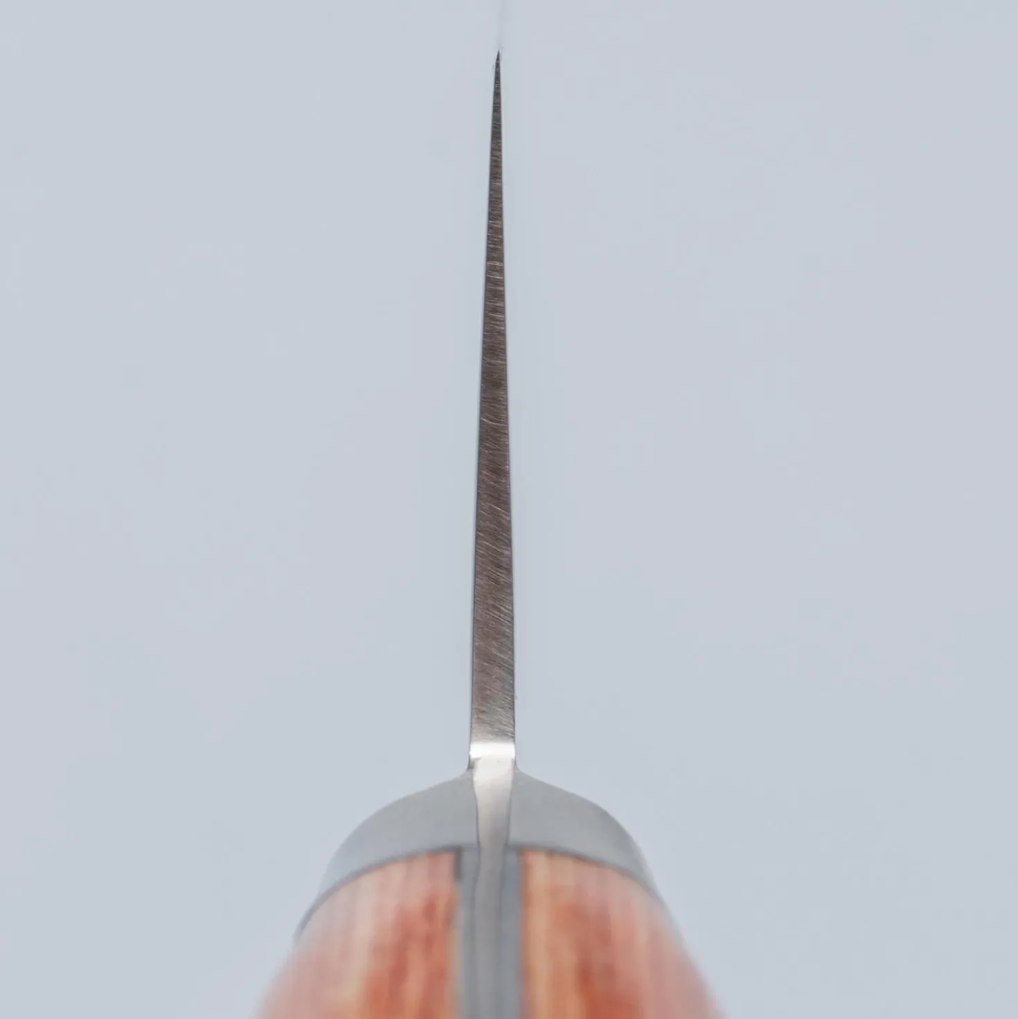 Sakai Takayuki Pro VG5 Gyuto 21 cm