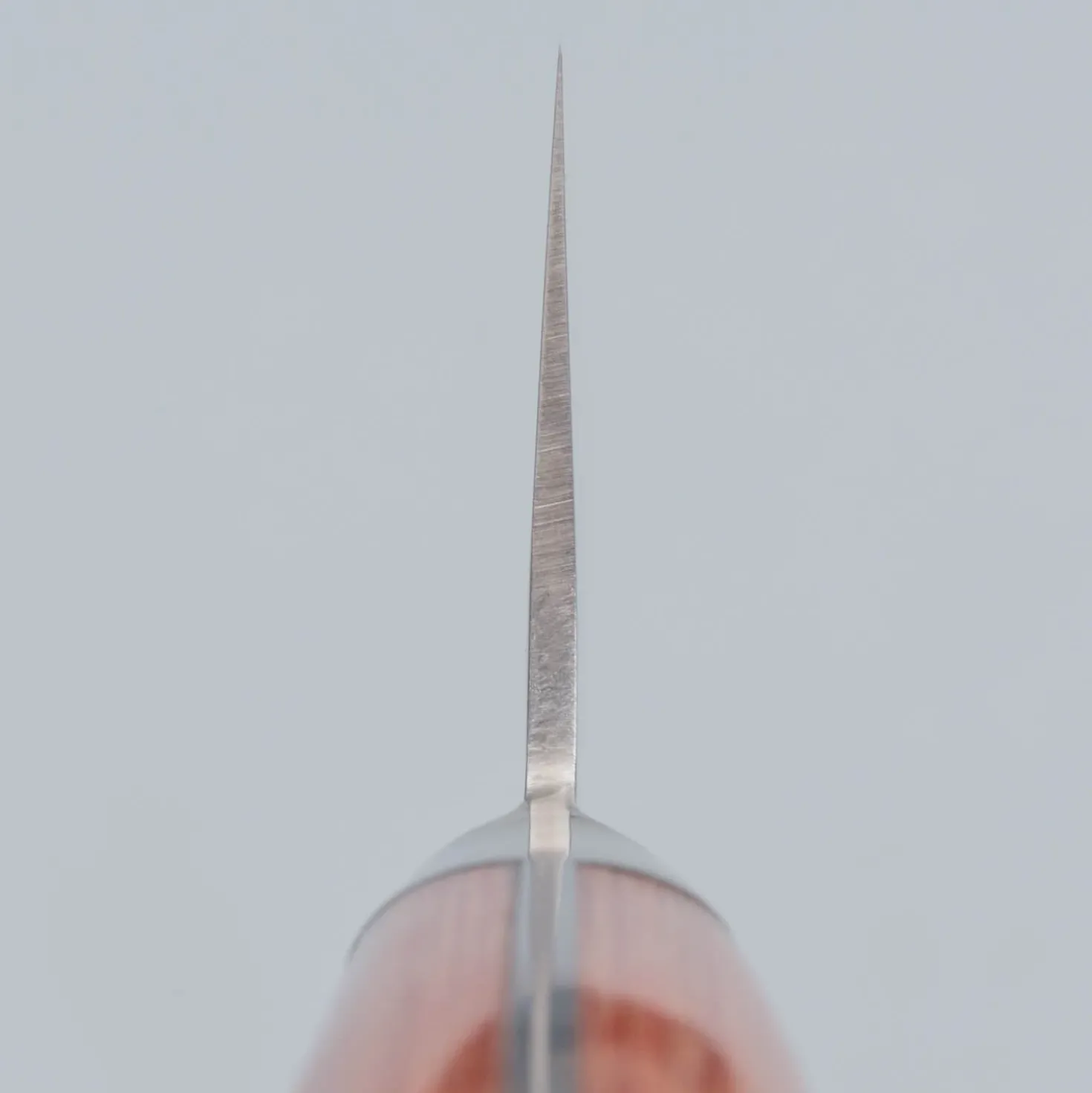 Sakai Takayuki Pro VG5 Kengata 19 cm