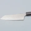 Sakai Takayuki SG2 Damast Tsuchime Kengata 16 cm