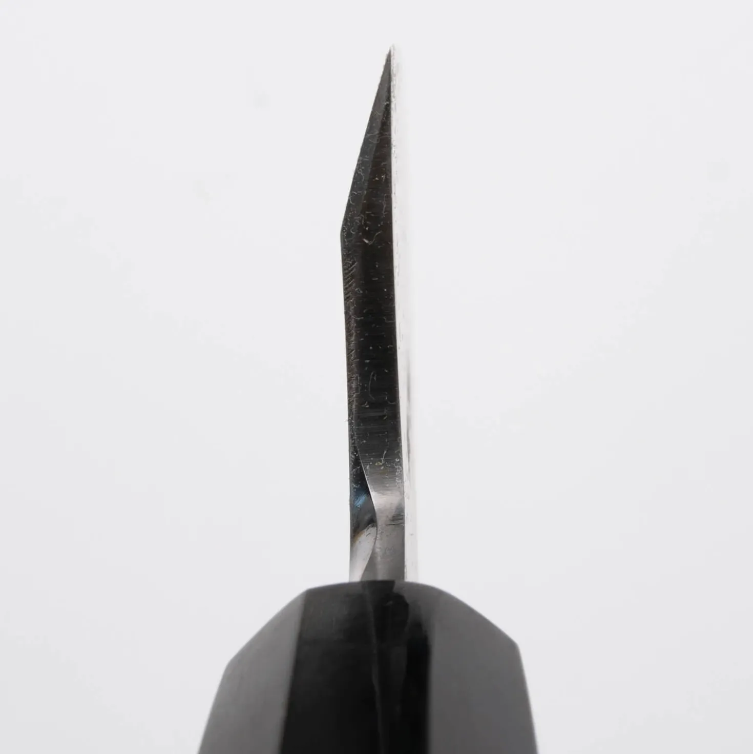 Sakai Takayuki Shirogami #2 Maple Garasuki 18 cm