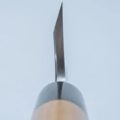 Sakai Takayuki Tokujou Deba 18 cm