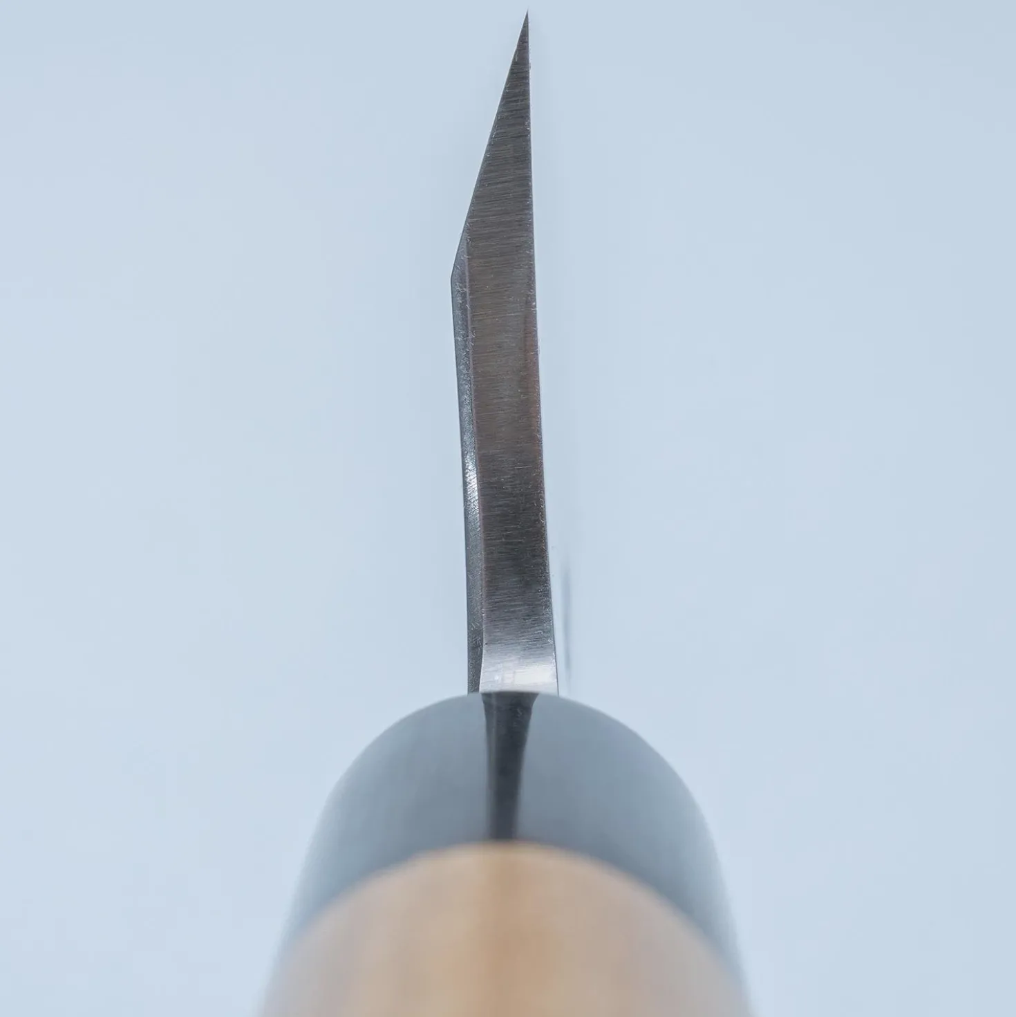 Sakai Takayuki Tokujou Deba 18 cm