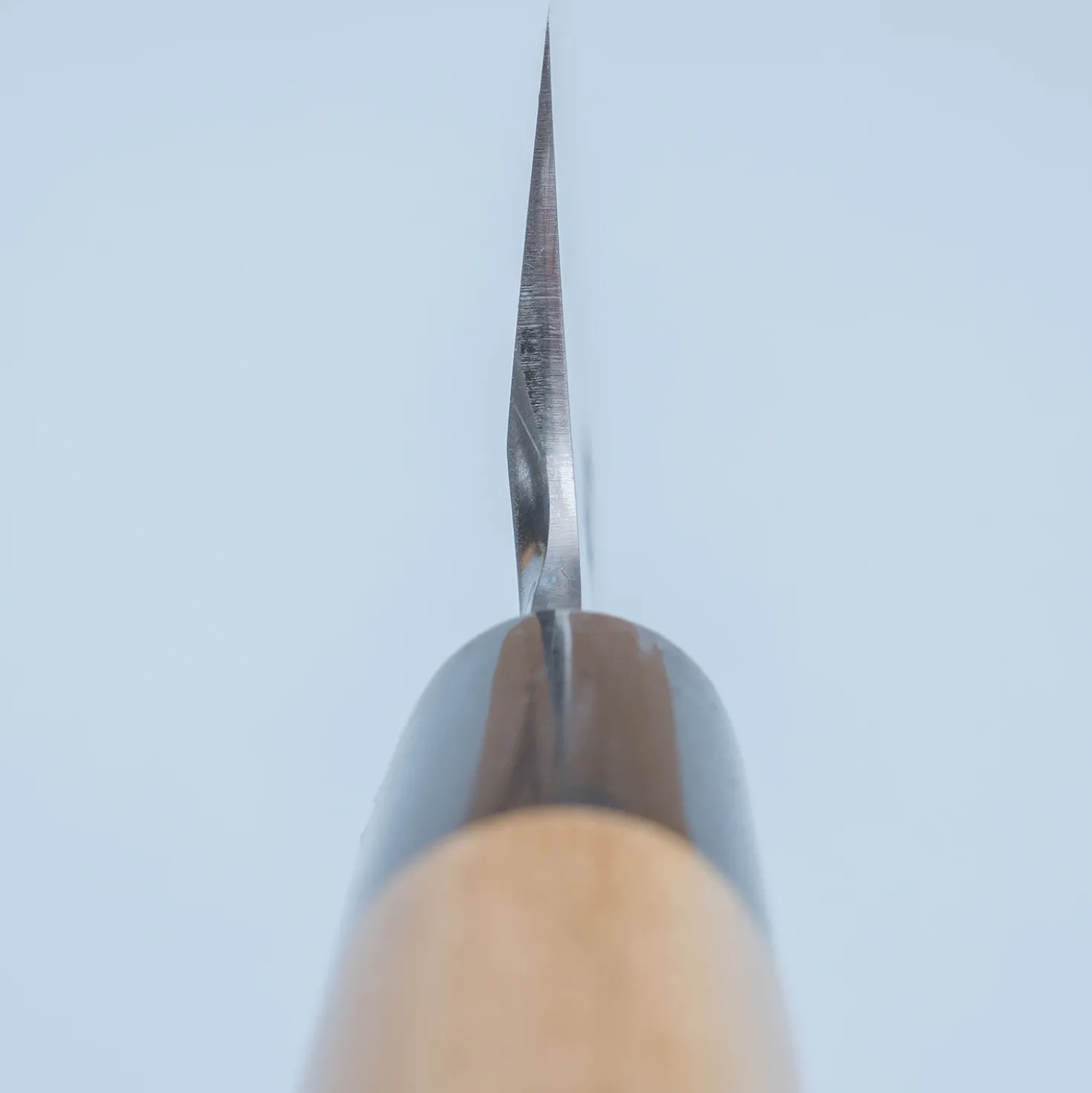 Sakai Takayuki Tokujou Usuba 18 cm