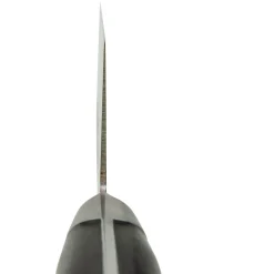 Sakai Takayuki TUS Koksmes 24 cm
