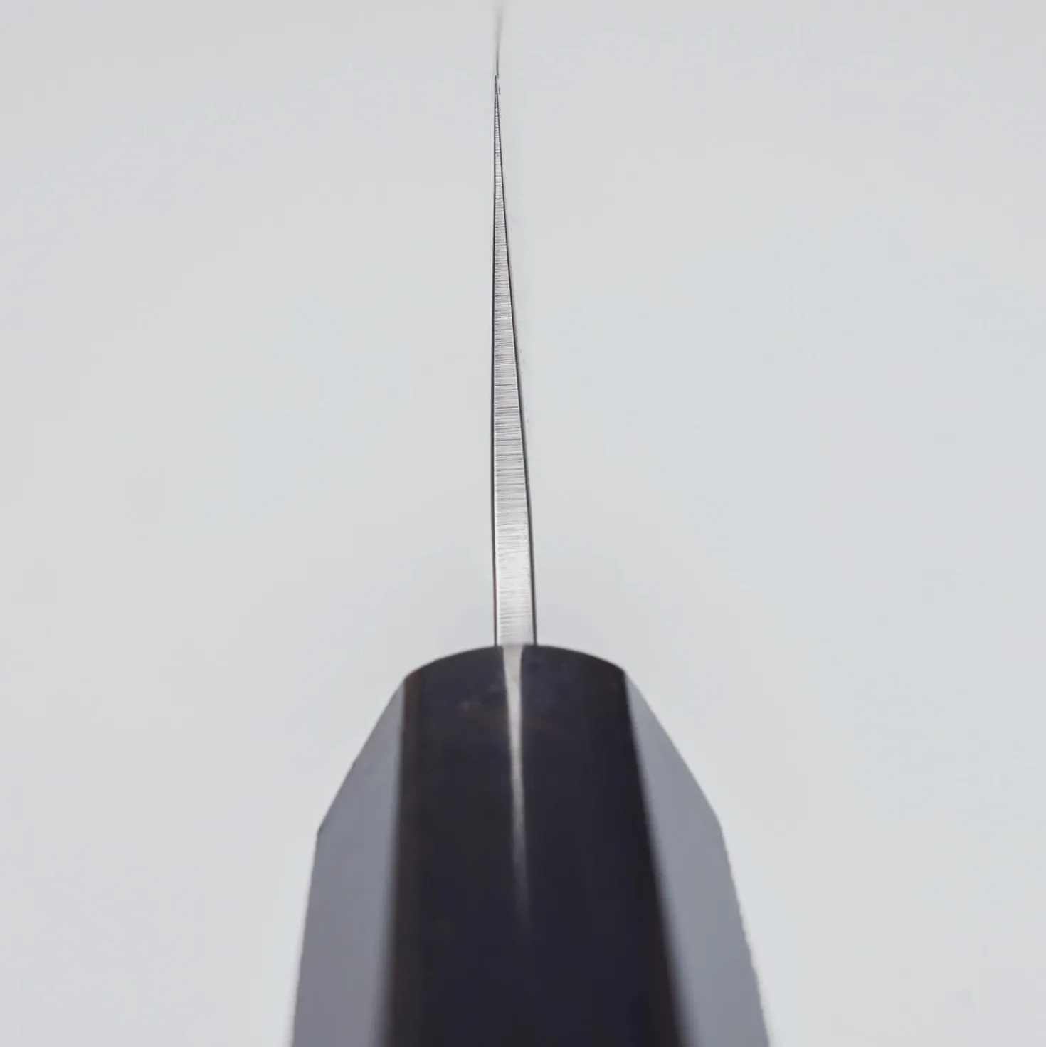 Sakai Takayuki VG10 Nashiji Ebony Kengata 16 cm