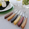 Saladini Steakmessen Mixed (6 stuks)