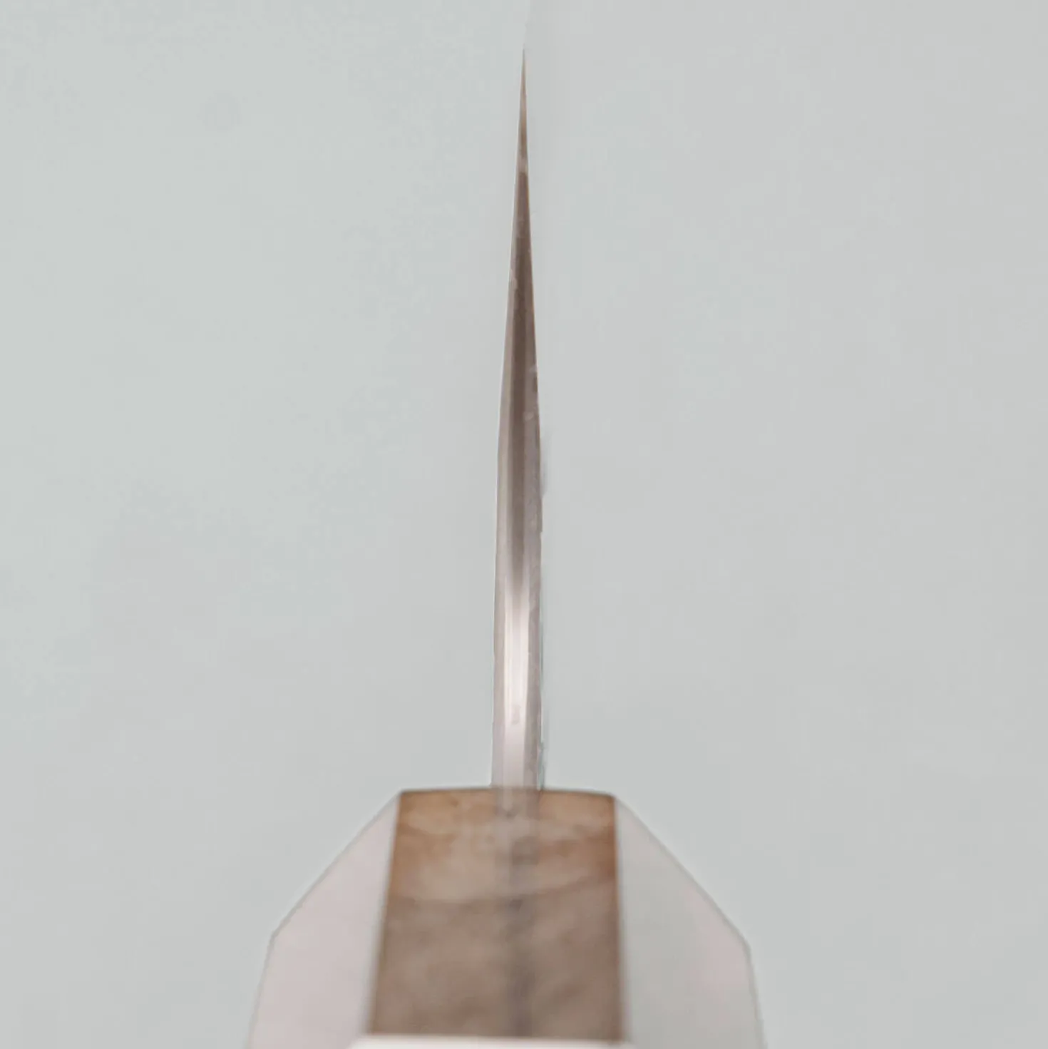 Shibata Arare SG2 Gyuto 21 cm