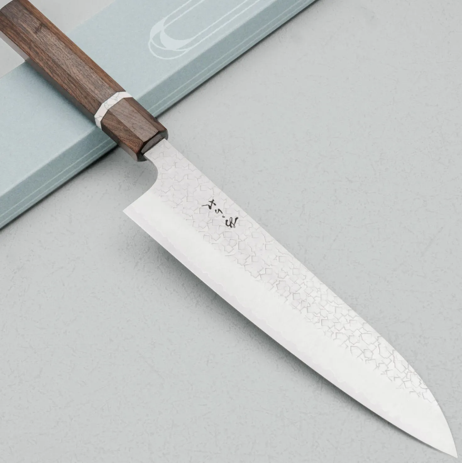 Shibata Arare SG2 Gyuto 21 cm