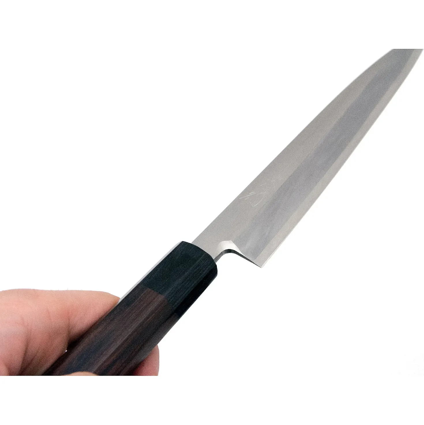 Shibata Kotetsu Yanagiba 24 cm