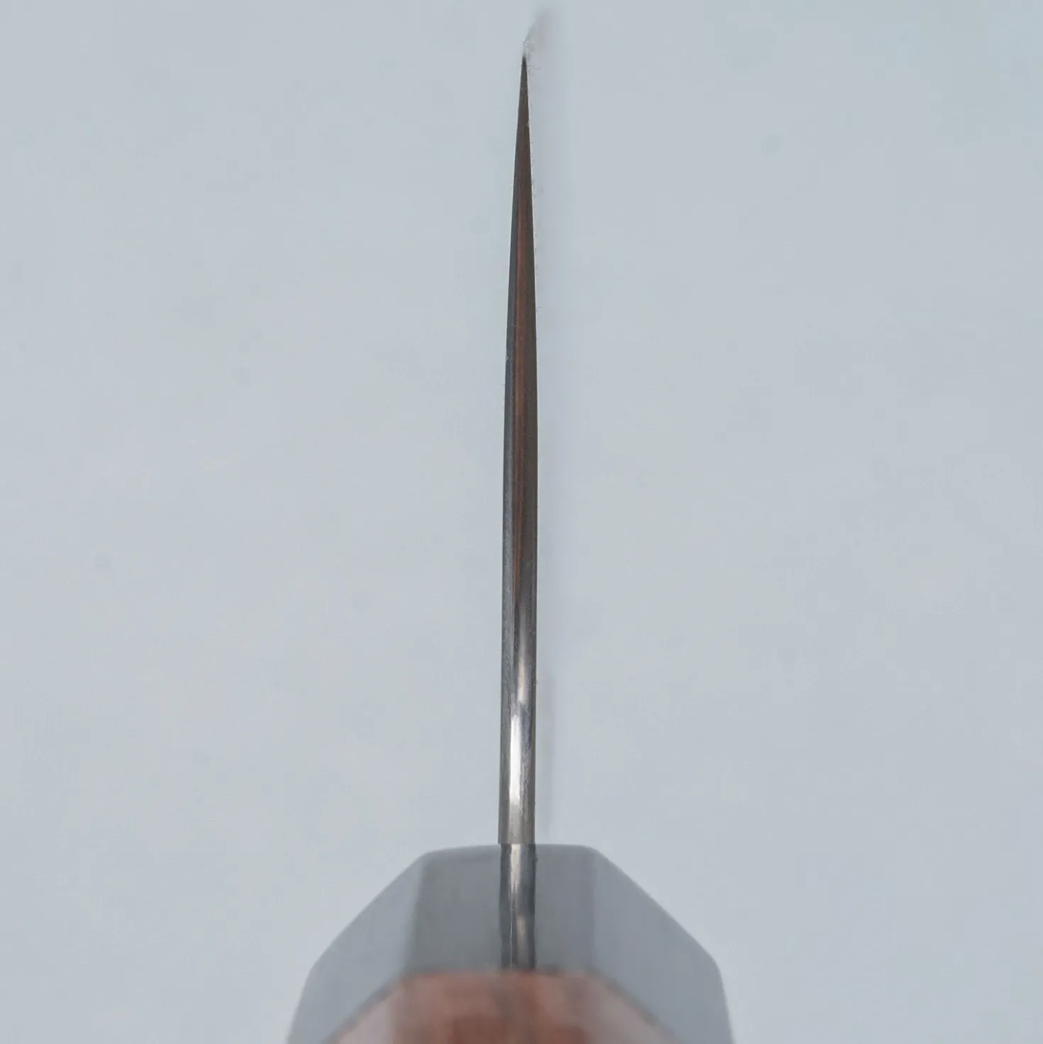 Shibata Koutetsu Aogami Super Nakiri 16.5 cm