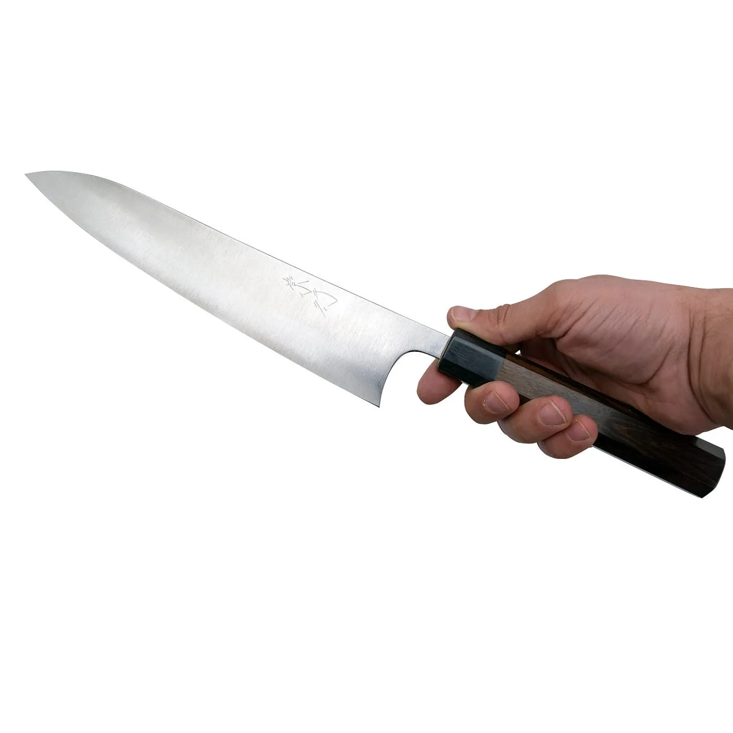 Shibata Koutetsu Type III Aogami 24 cm