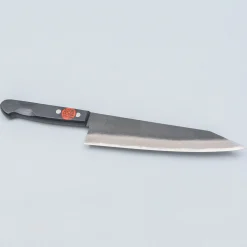 Shigeki Tanaka Aogami 2 Kiritsuke 21 cm