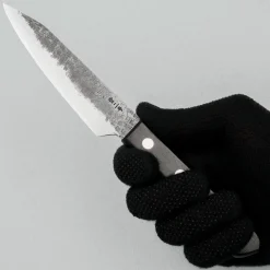 Shigeki Tanaka Aogami 2 Petty 12 cm