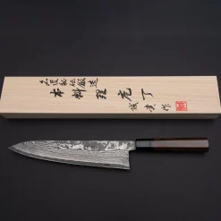 Shigeki Tanaka SG2 Damascus Gyuto 24 cm