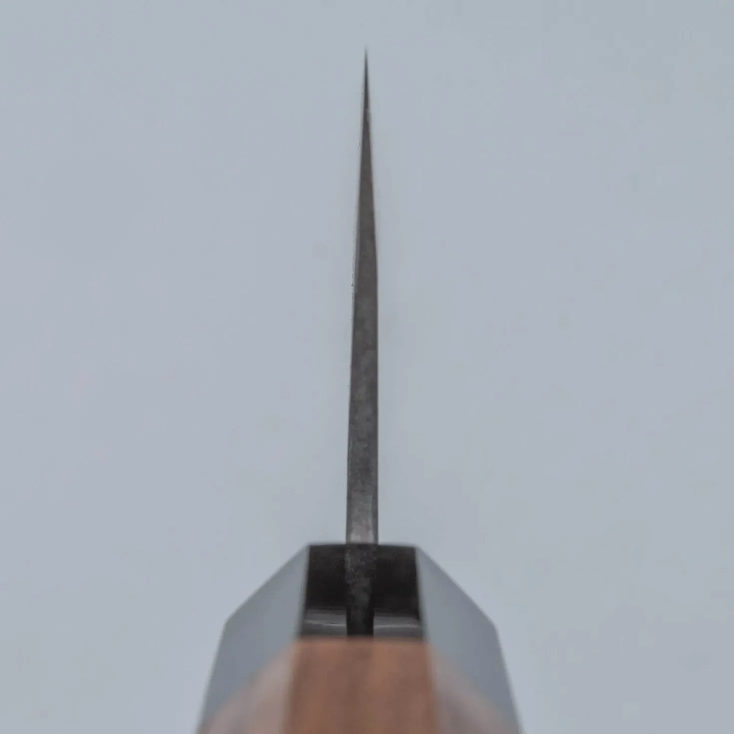 Shiro Kamo Aogami Super Walnut Gyuto 24 cm