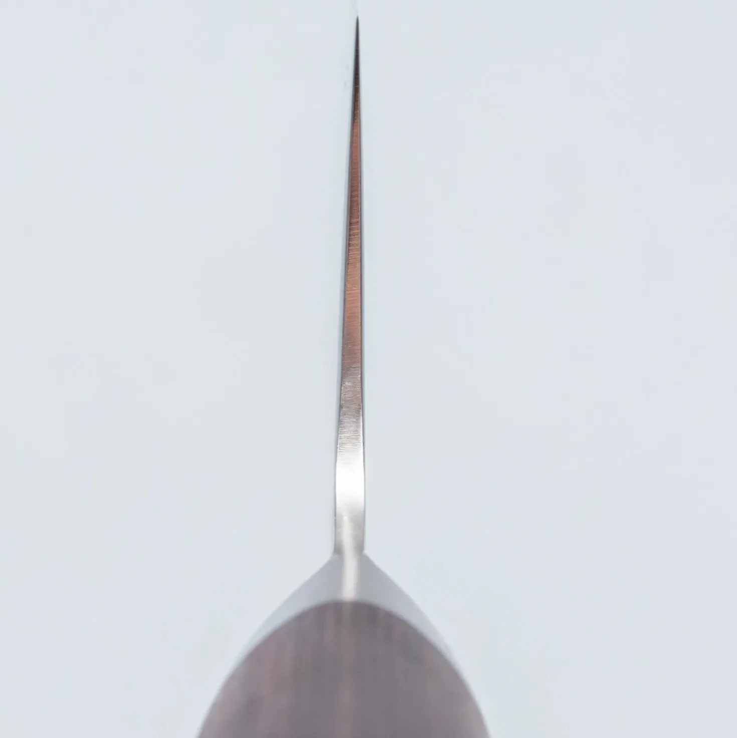 Shizu Miyako Damast Bunka 19 cm