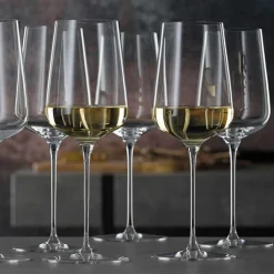 Spiegelau Definition Witte Wijnglas 435 ml (2 stuks)