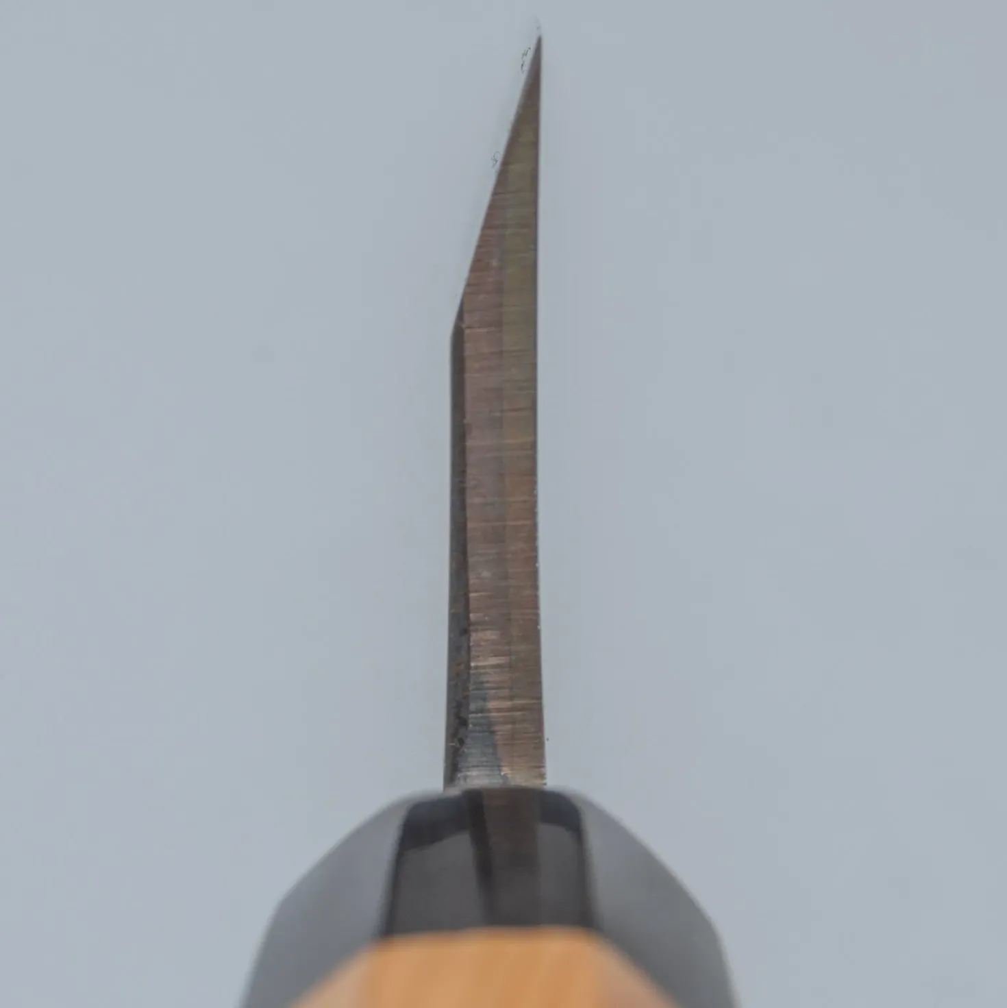 Suisin Ginsanko Deba 16.5 cm + Saya