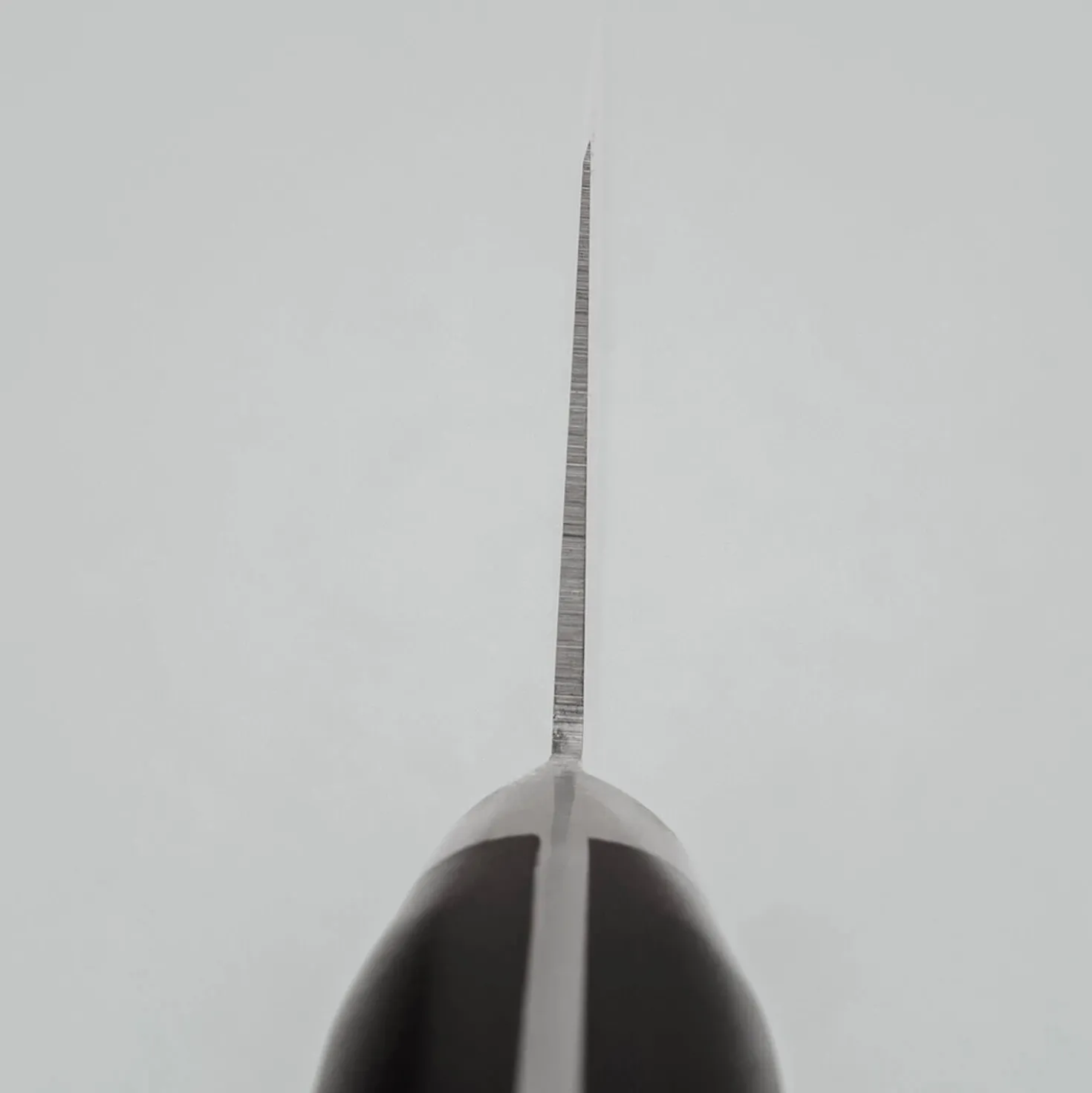 Suisin High Carbon Gyutou Koksmes 21 cm