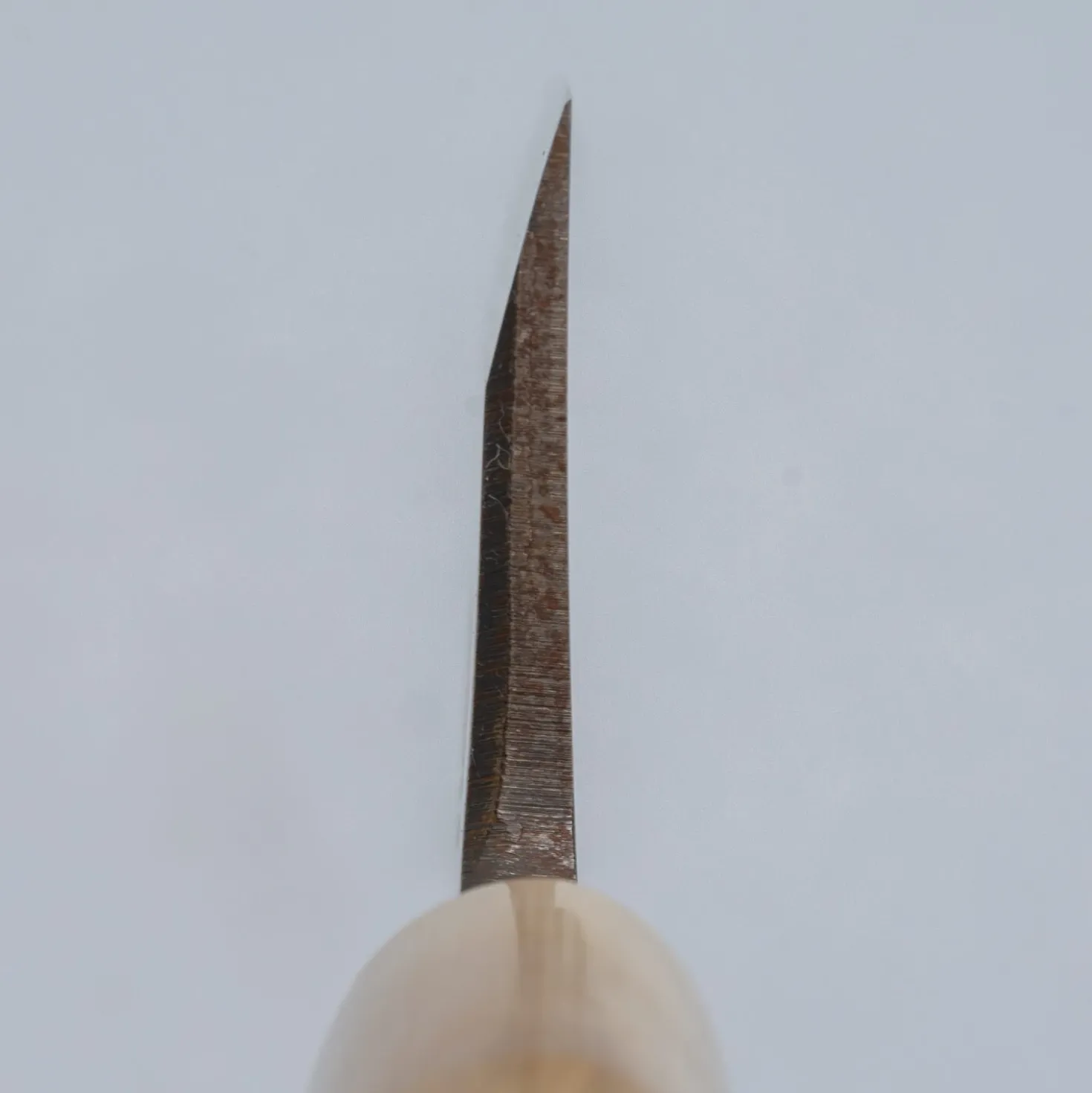 Suisin Yasukiko Deba 15 cm + Saya