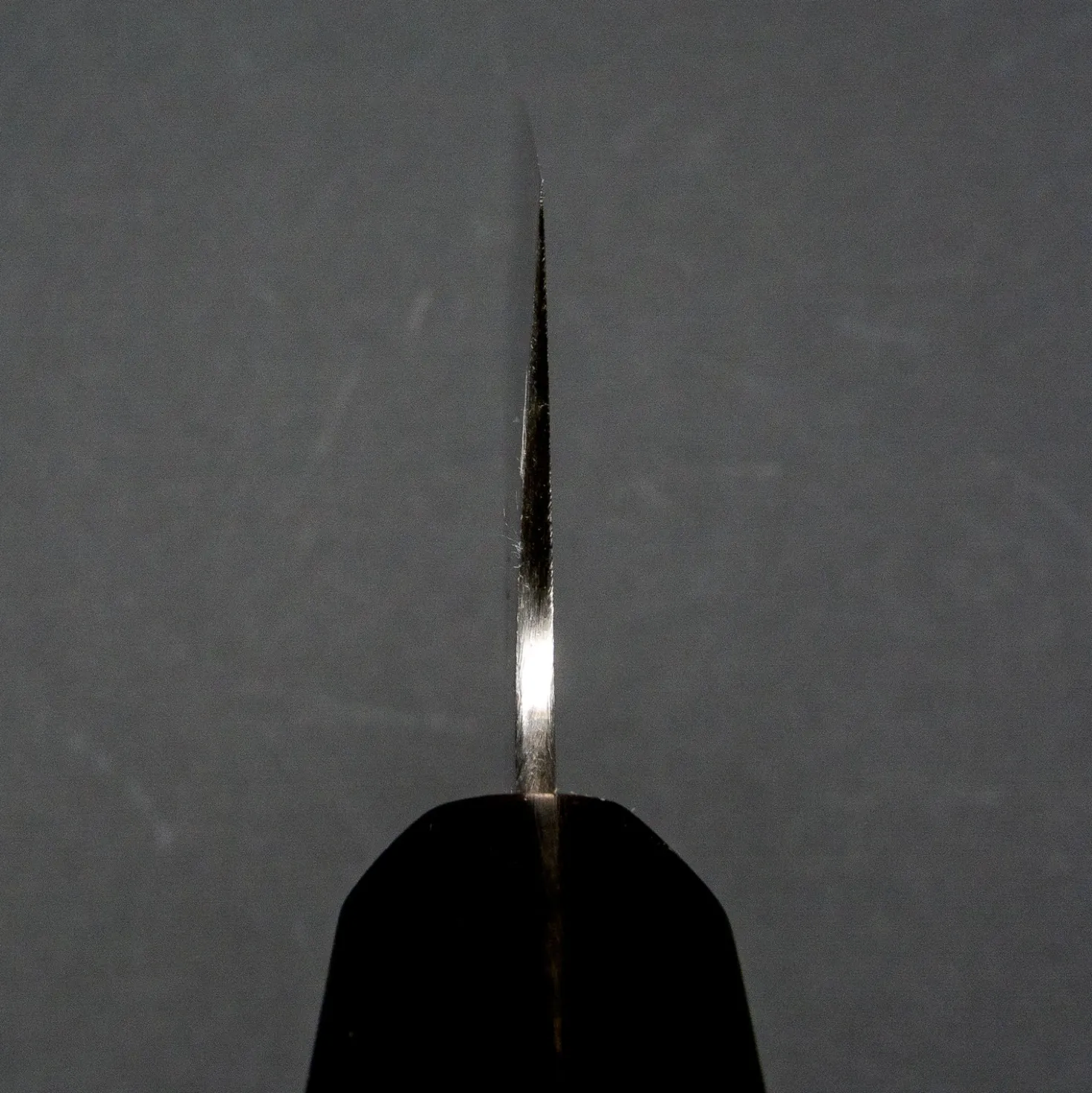Sukenari Aogami Super Gyuto 21 cm