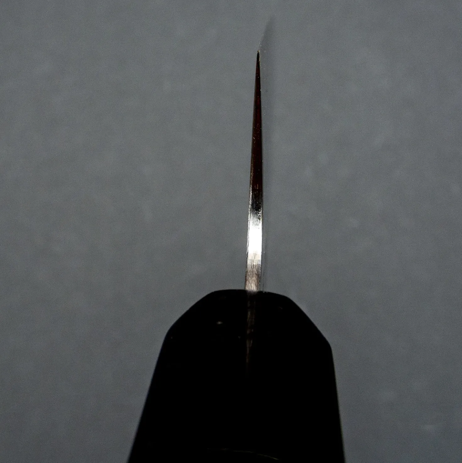 Sukenari Aogami Super Kiritsuke 21 cm