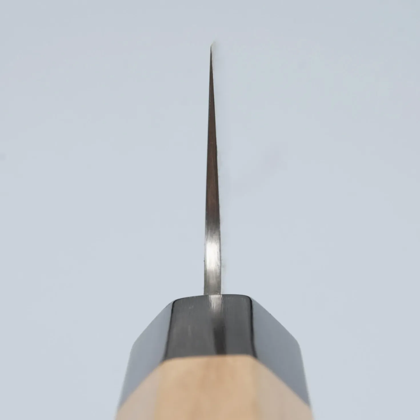 Sukenari SG-2 Gyuto Kiritsuke 24 cm