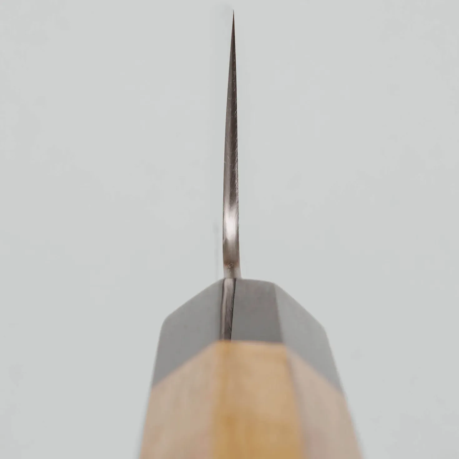 Sukenari STRIX Oak Gyuto 24 cm