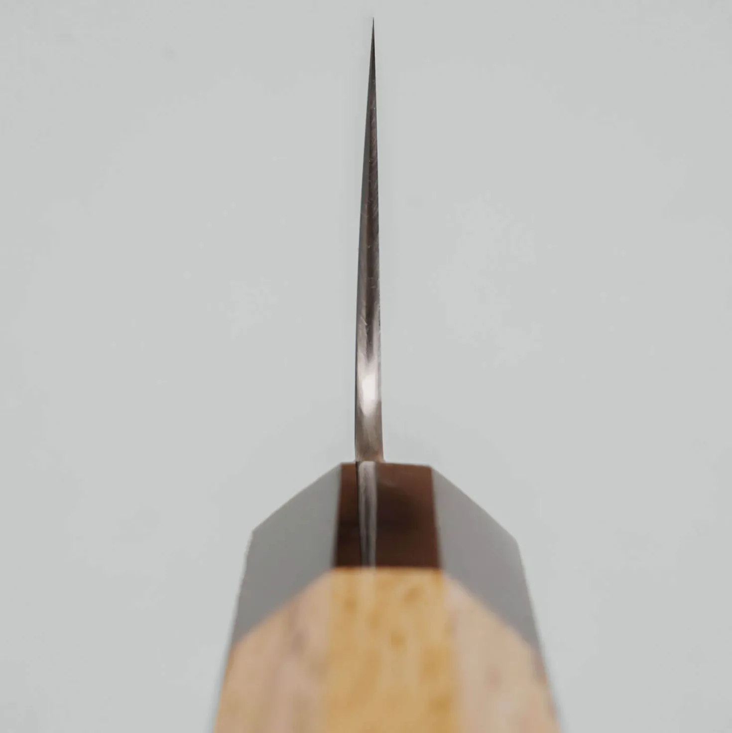 Sukenari STRIX Oak Kiritsuke Gyuto 24 cm