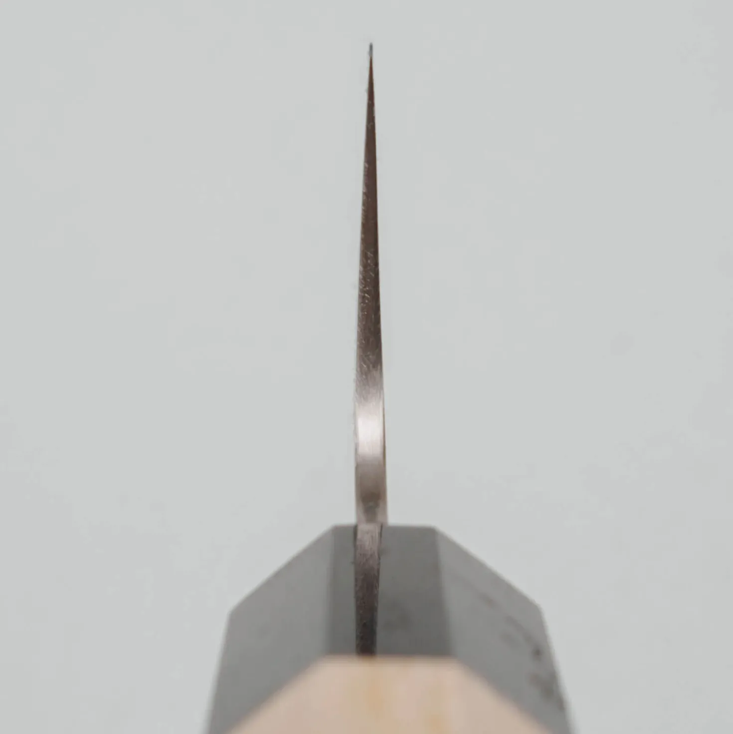 Sukenari STRIX Oak Kiritsuke Gyuto 21 cm