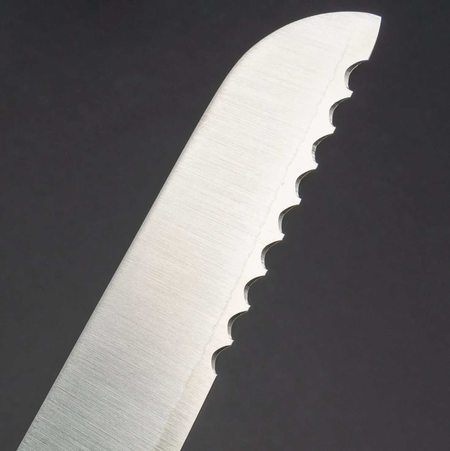 Tadafusa Hocho Broodmes