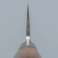 Tadafusa Hocho SN-09 Garasuki 18 cm