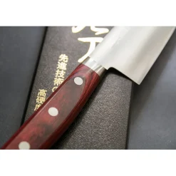 Takamura Migaki R2 Gyuto 21 cm