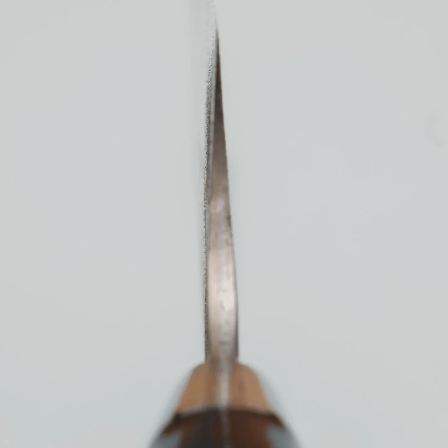 Takeshi Saji Rainbow Aogami Fuji Gyuto 27 cm #3