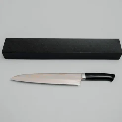 Takeshi Saji Rainbow Aogami Fuji Gyuto 27 cm #3