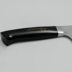 Takeshi Saji Rainbow Aogami Fuji Gyuto 27 cm #3