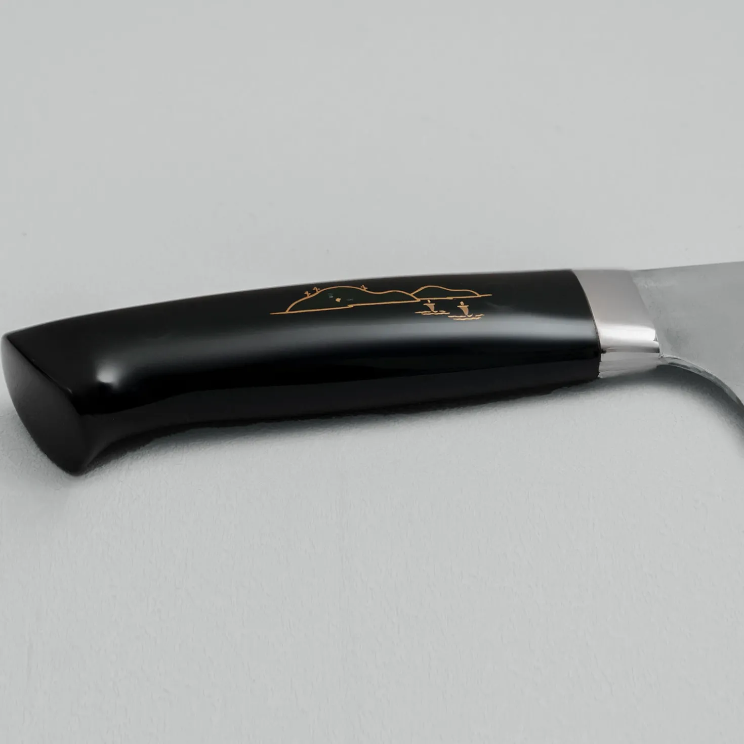 Takeshi Saji Rainbow Aogami Fuji Gyuto 27 cm #3