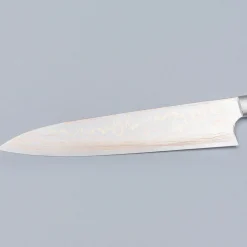 Takeshi Saji Rainbow Aogami Ironwood Gyuto 24 cm