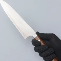 Takeshi Saji Rainbow Aogami Ironwood Gyuto 24 cm