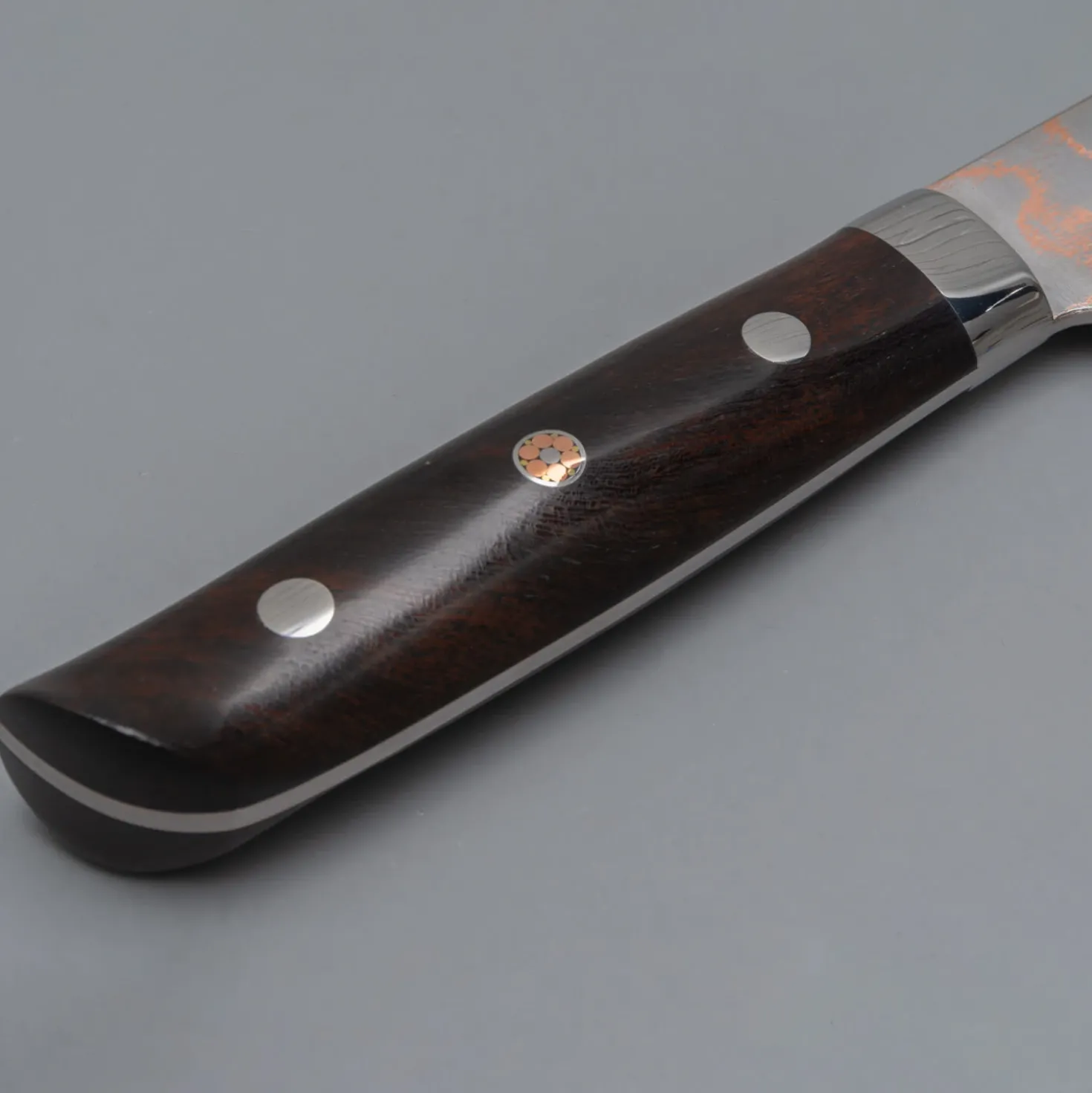 Takeshi Saji Rainbow Aogami Ironwood Sujihiki 27 cm