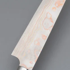 Takeshi Saji Rainbow Aogami Ironwood Sujihiki 27 cm