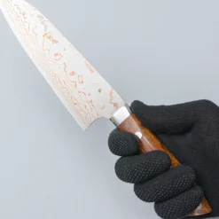 Takeshi Saji Rainbow Aogami Ironwood Santoku 18 cm