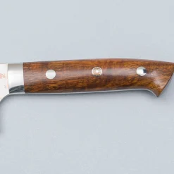 Takeshi Saji Rainbow Aogami Ironwood Santoku 18 cm
